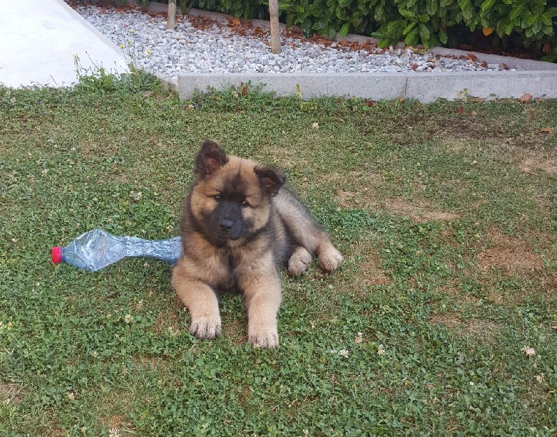 LES BEBES DE GWINIE CHEZ EUX